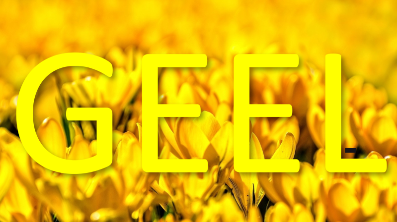 GEEL