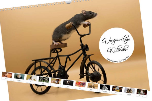 Verjaardags Kalender