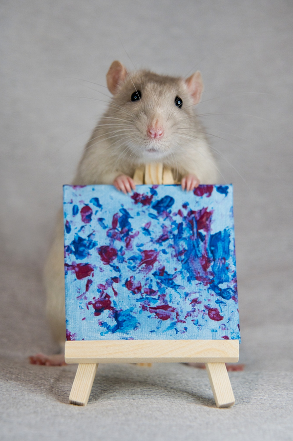 Custom schilderij