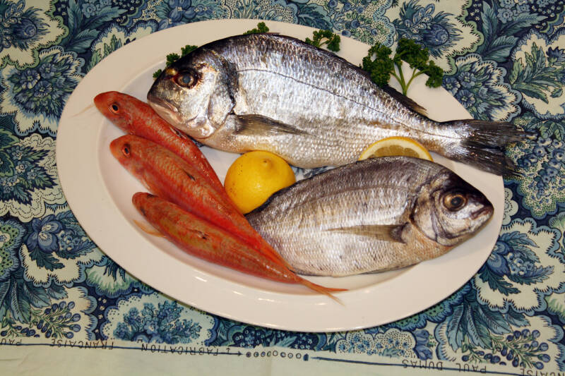 Composition cours de peinture