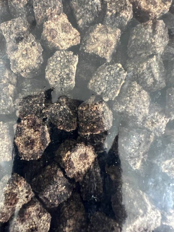 Vleesblokjes 100 gram