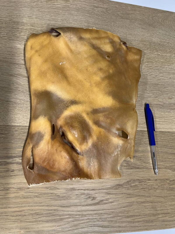 Kophuidplaat Paard Groot - per stuk