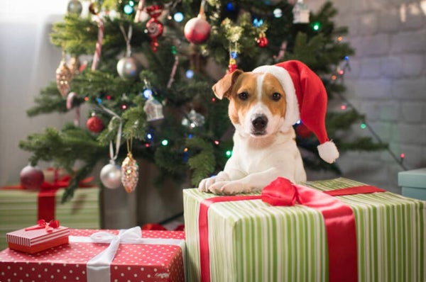 Zelf je kerstpakket samenstellen?