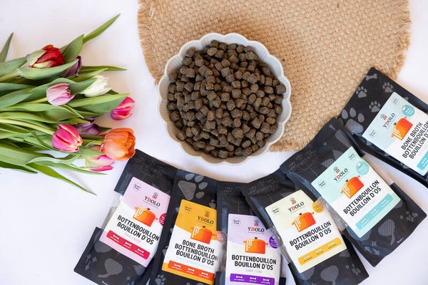 Ydolo Bottenbouillon - 5 pakjes van 230 ml - op bestelling