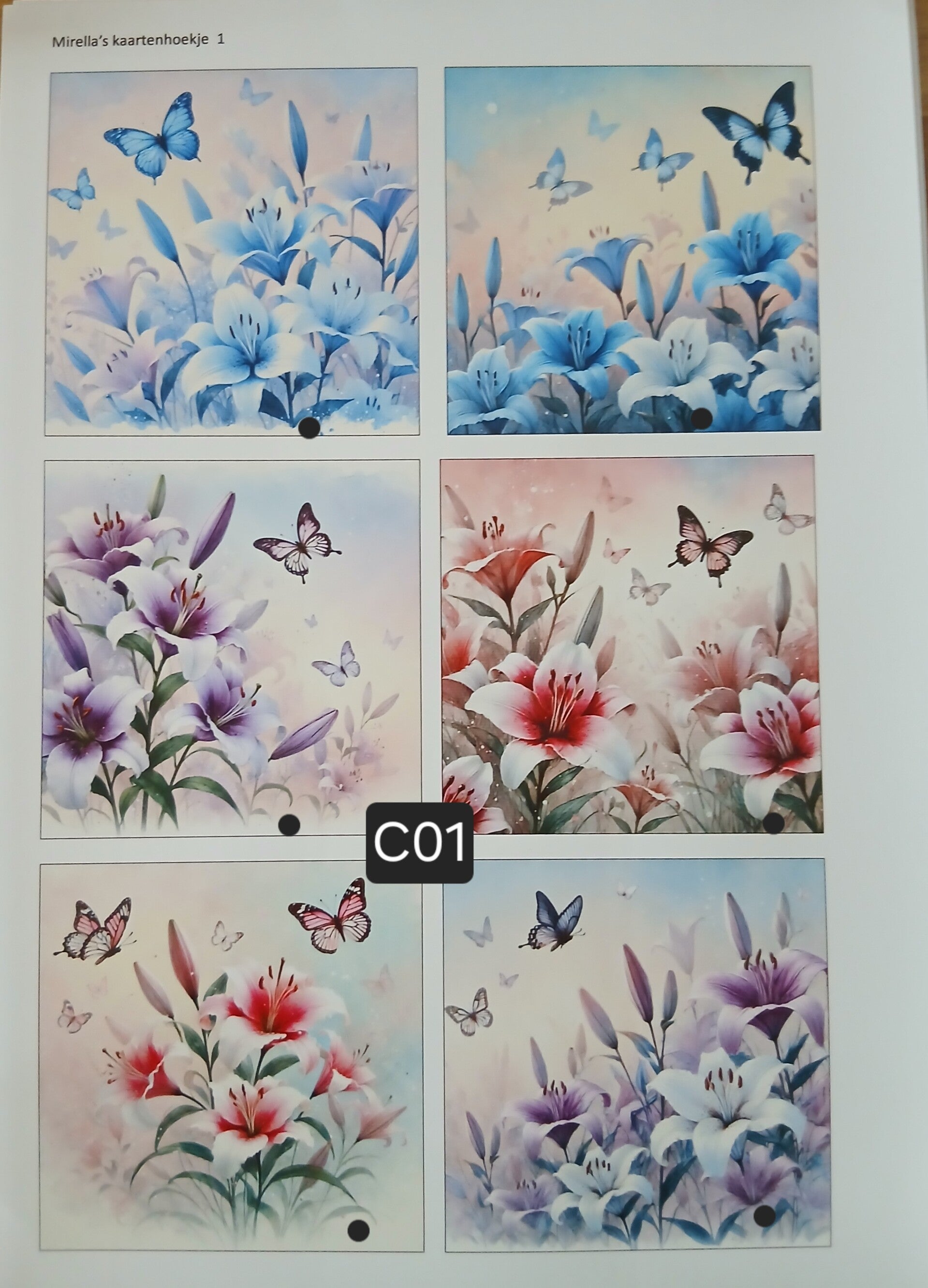 Collagevel C001