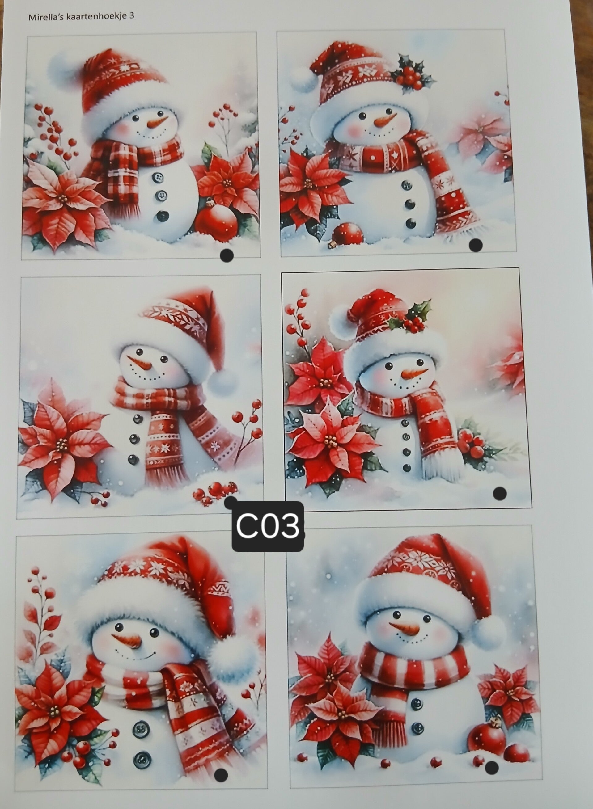 Collagevel C003