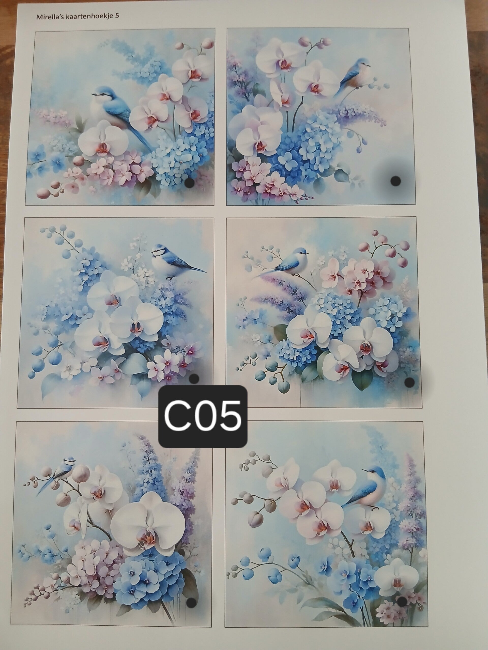 Collagevel C005