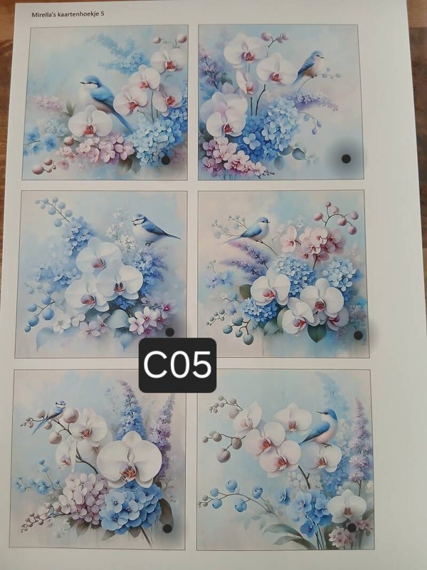 Collagevel C005