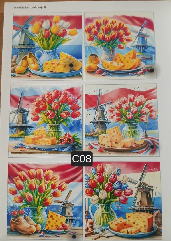 Collagevel C008