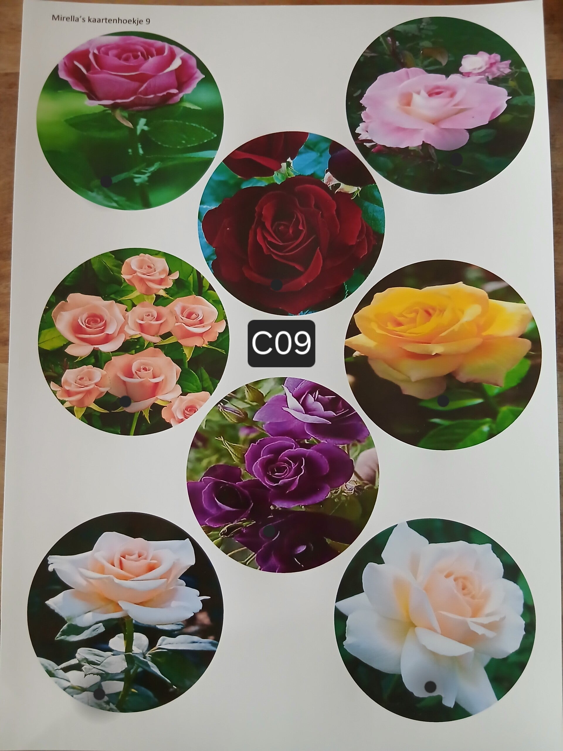 Collagevel C009