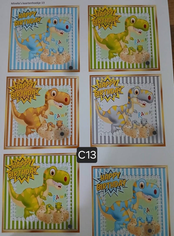 Collagevel C013