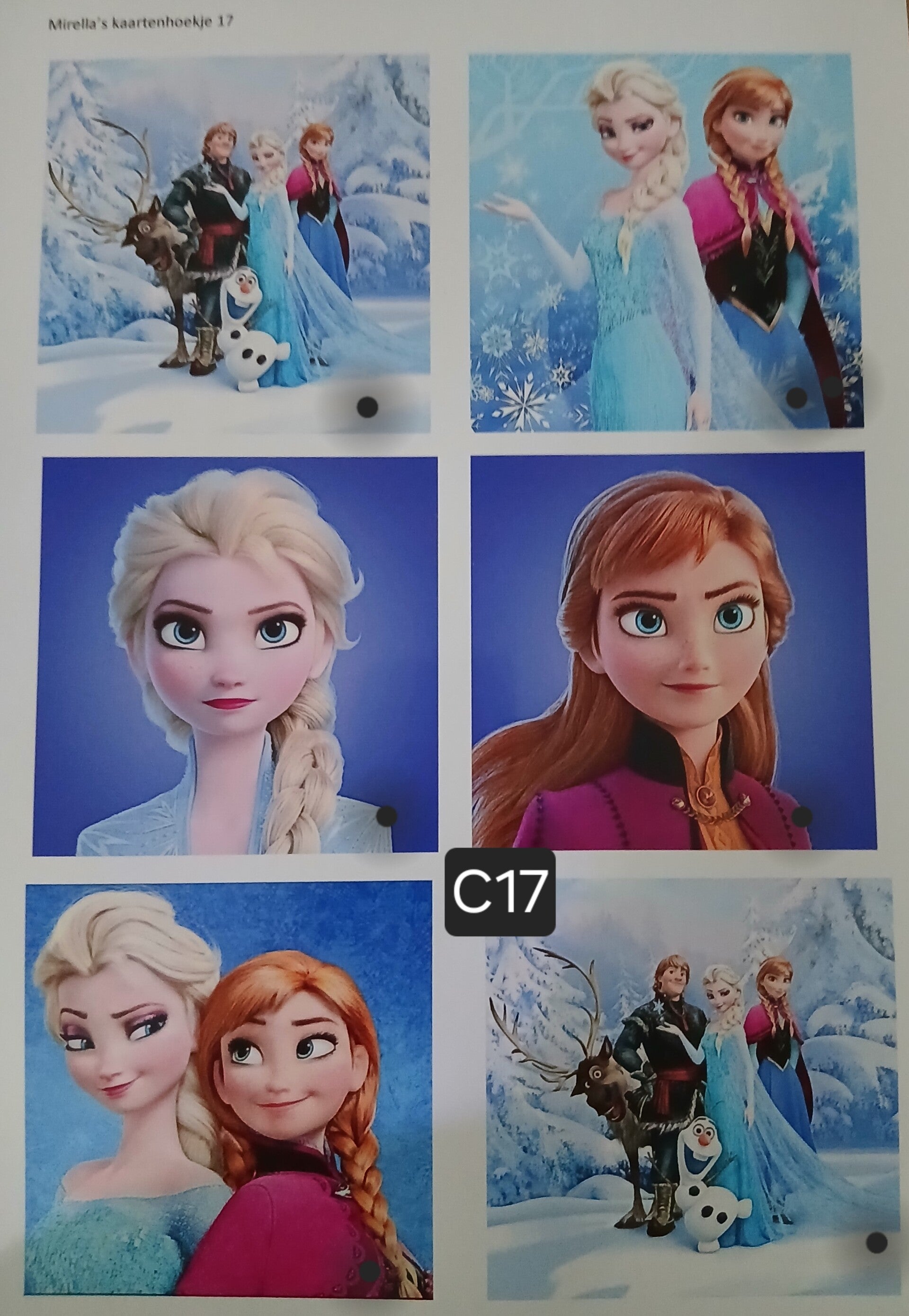 Collagevel C017