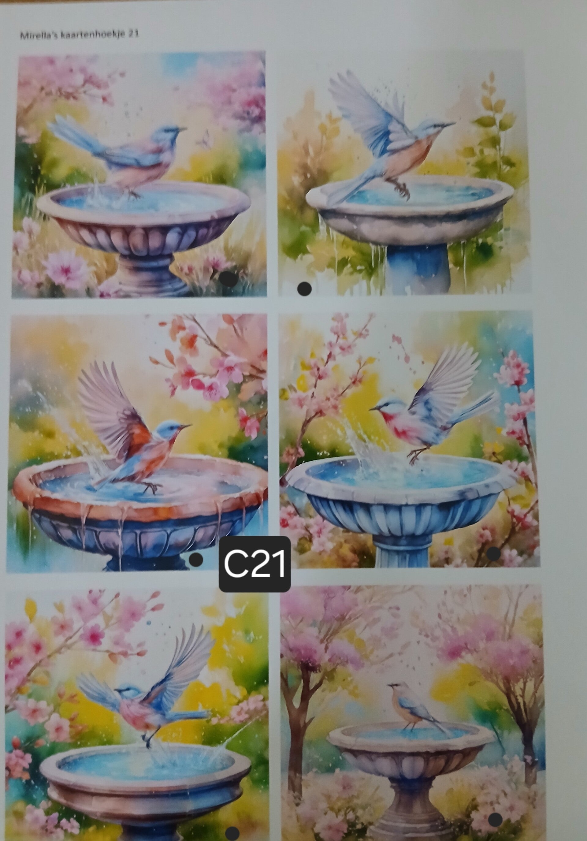 Collagevel C021