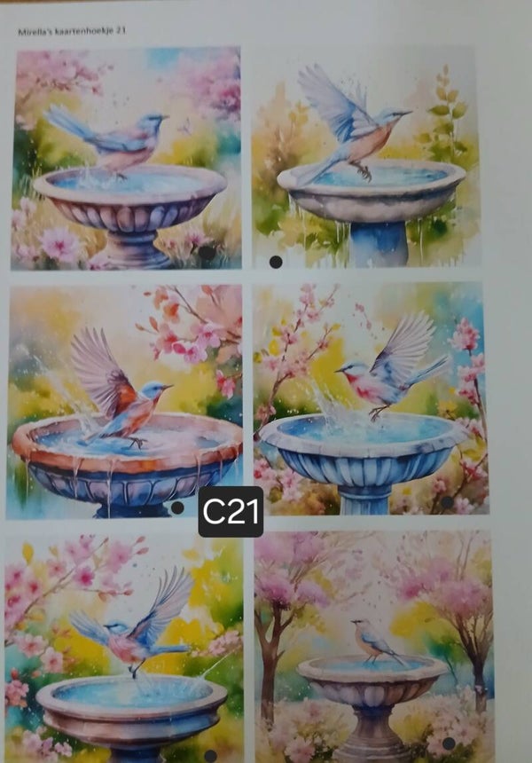 Collagevel C021