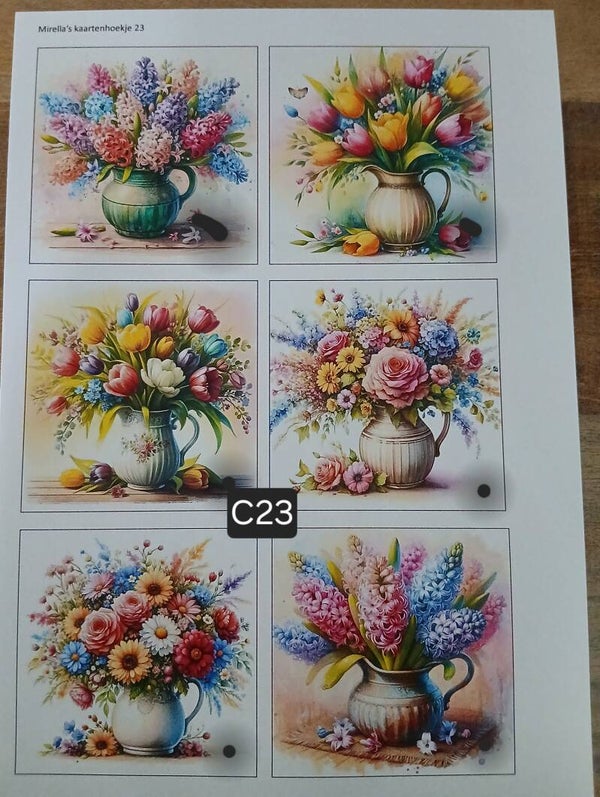 Collagevel C023