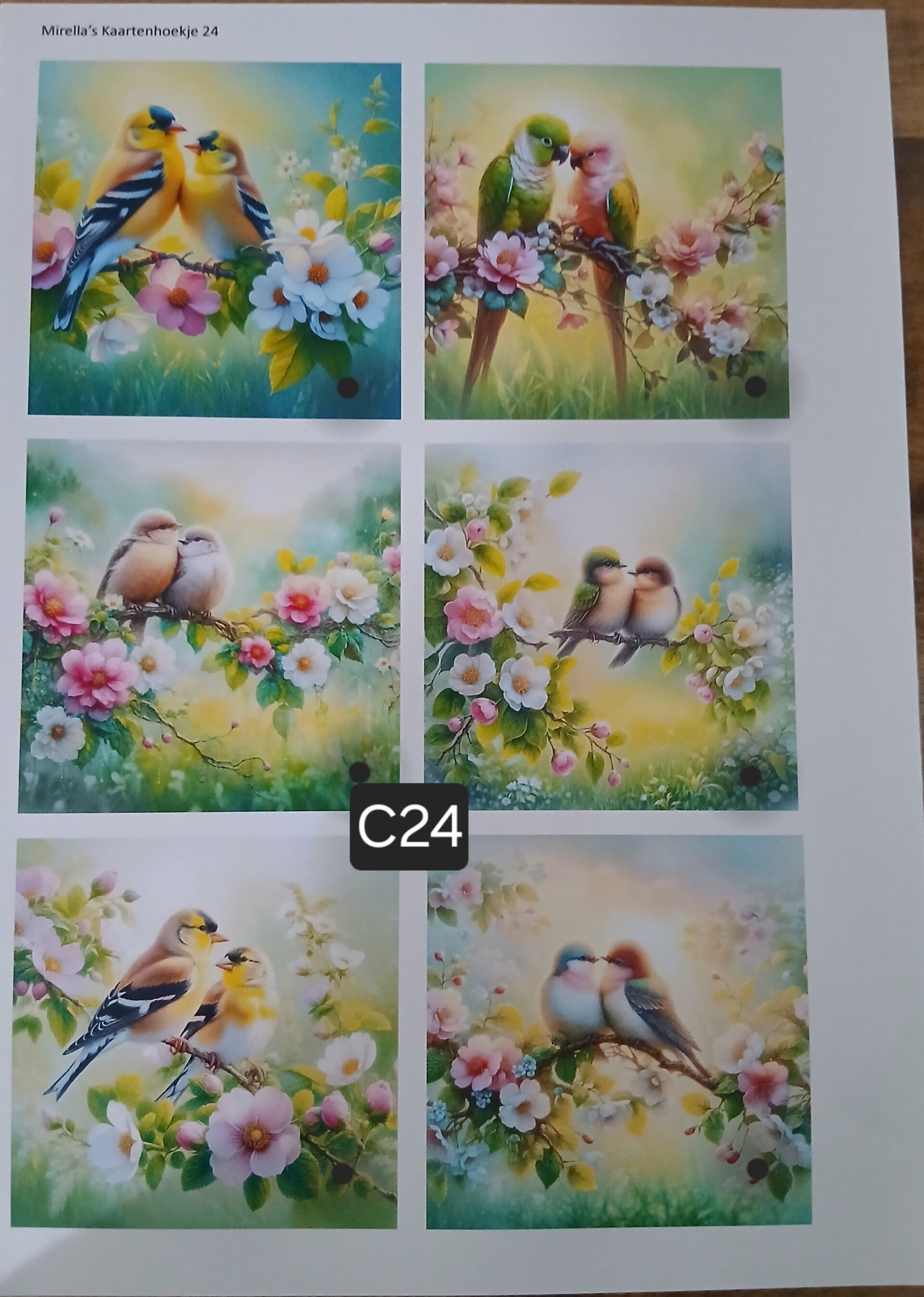 Collagevel C024