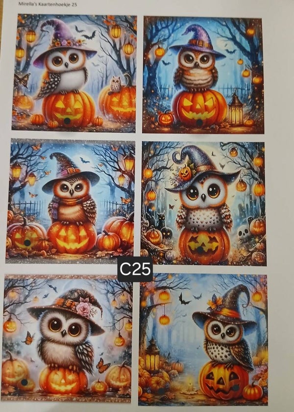 Collagevel C025