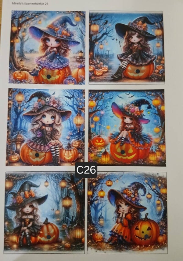 Collagevel C026