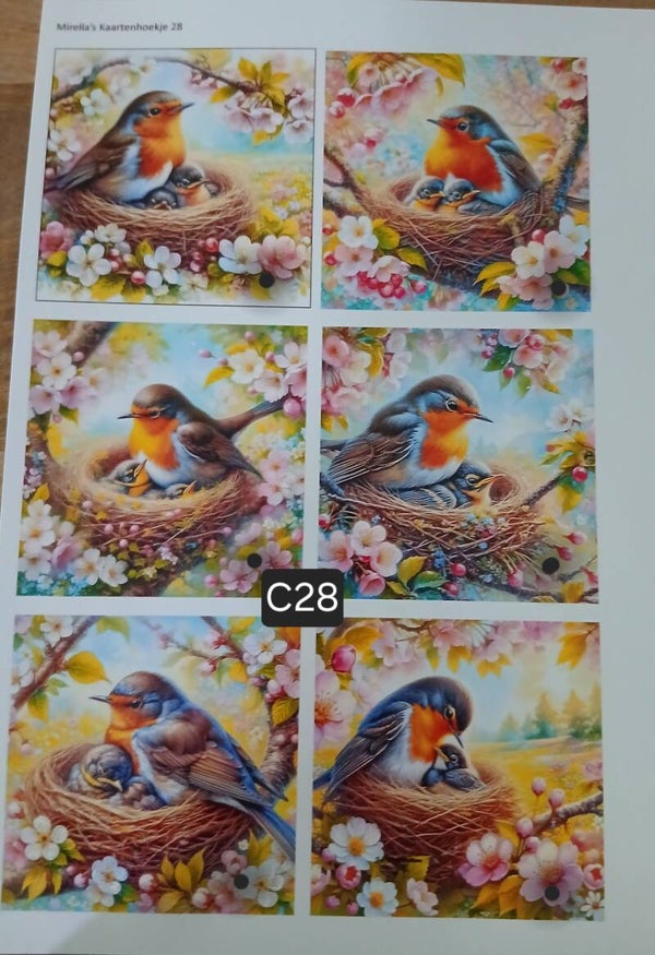 Collagevel C028