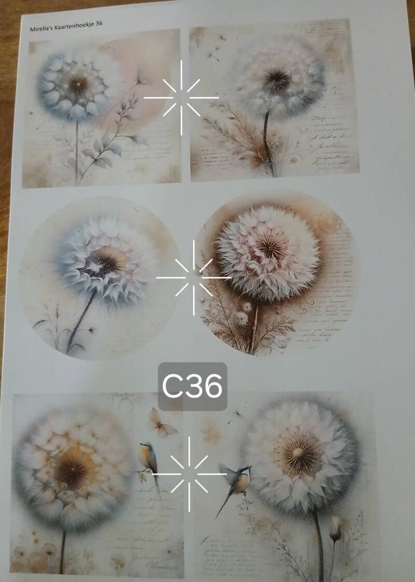 Collagevel C036
