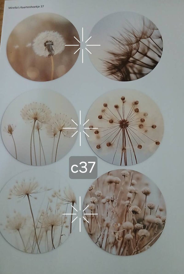 Collagevel C037