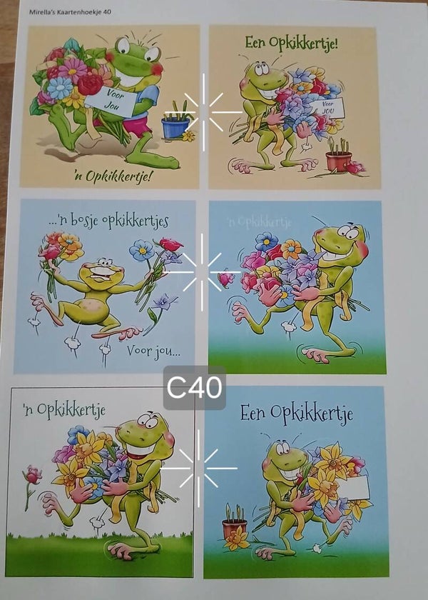 Collagevel C040