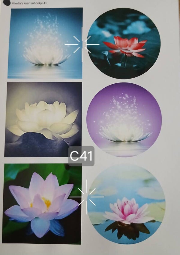 Collagevel C041