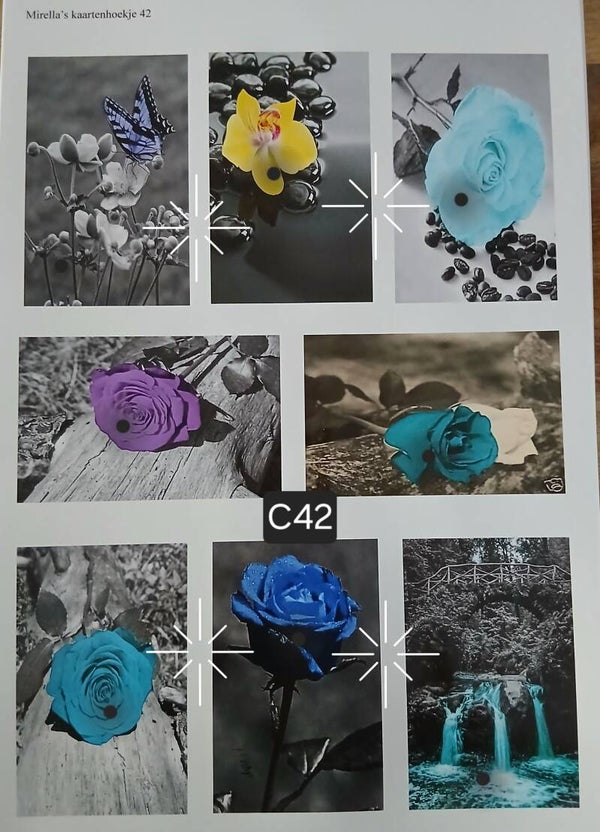 Collagevel C042