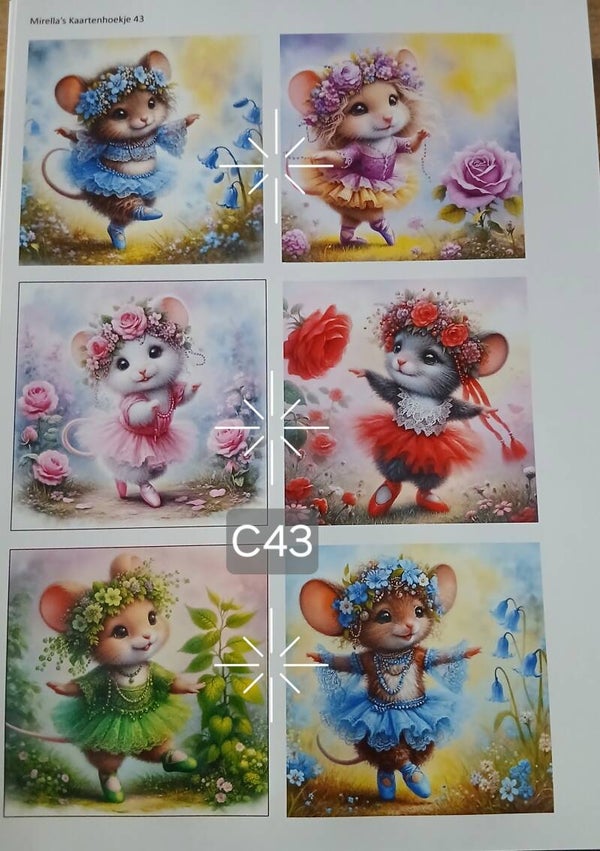 Collagevel C043