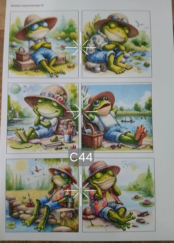 Collagevel C044
