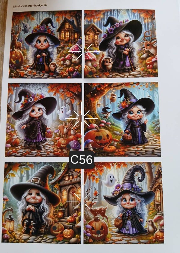 Collagevel C056