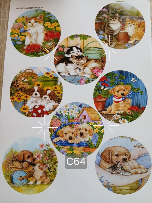 Collagevel C064