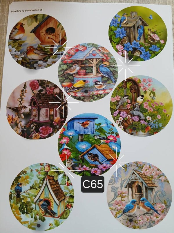 Collagevel C065