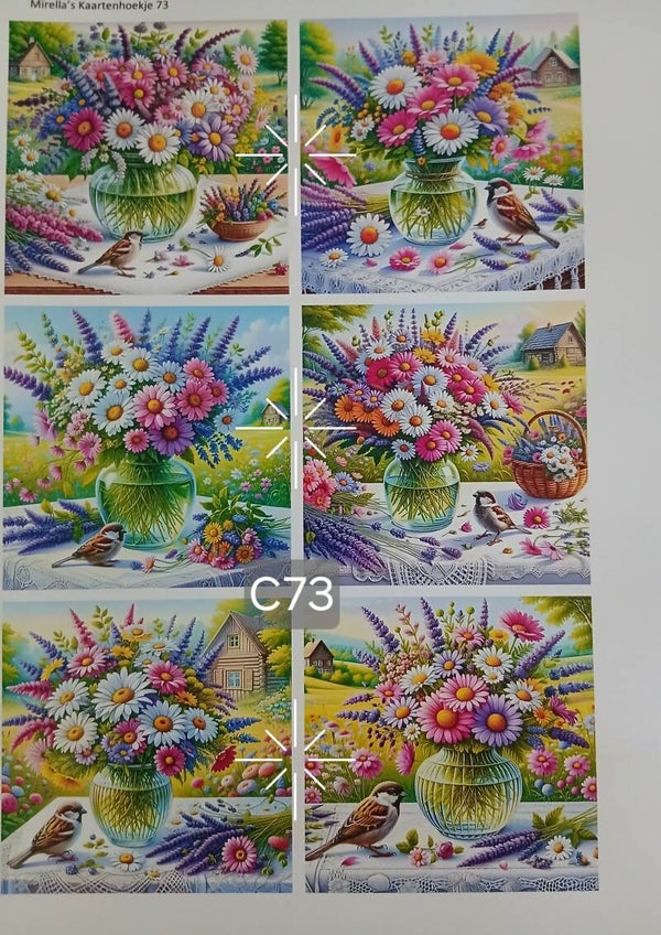Collagevel C073