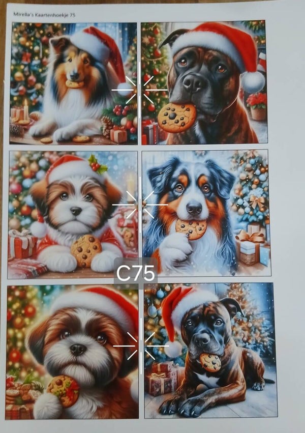 Collagevel C075