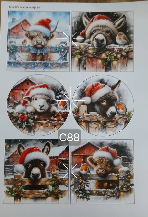 Collagevel C088