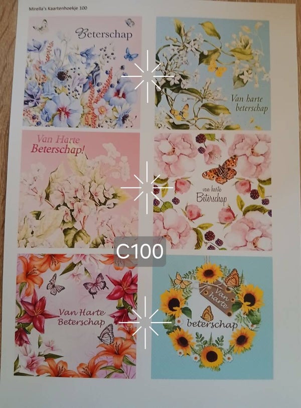 Collagevel C100