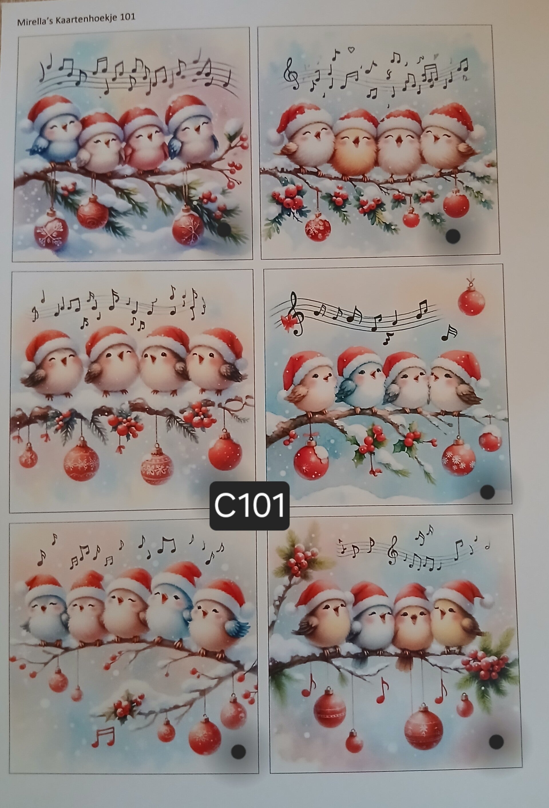 Collagevel C101