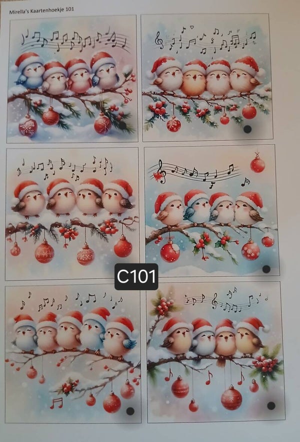Collagevel C101