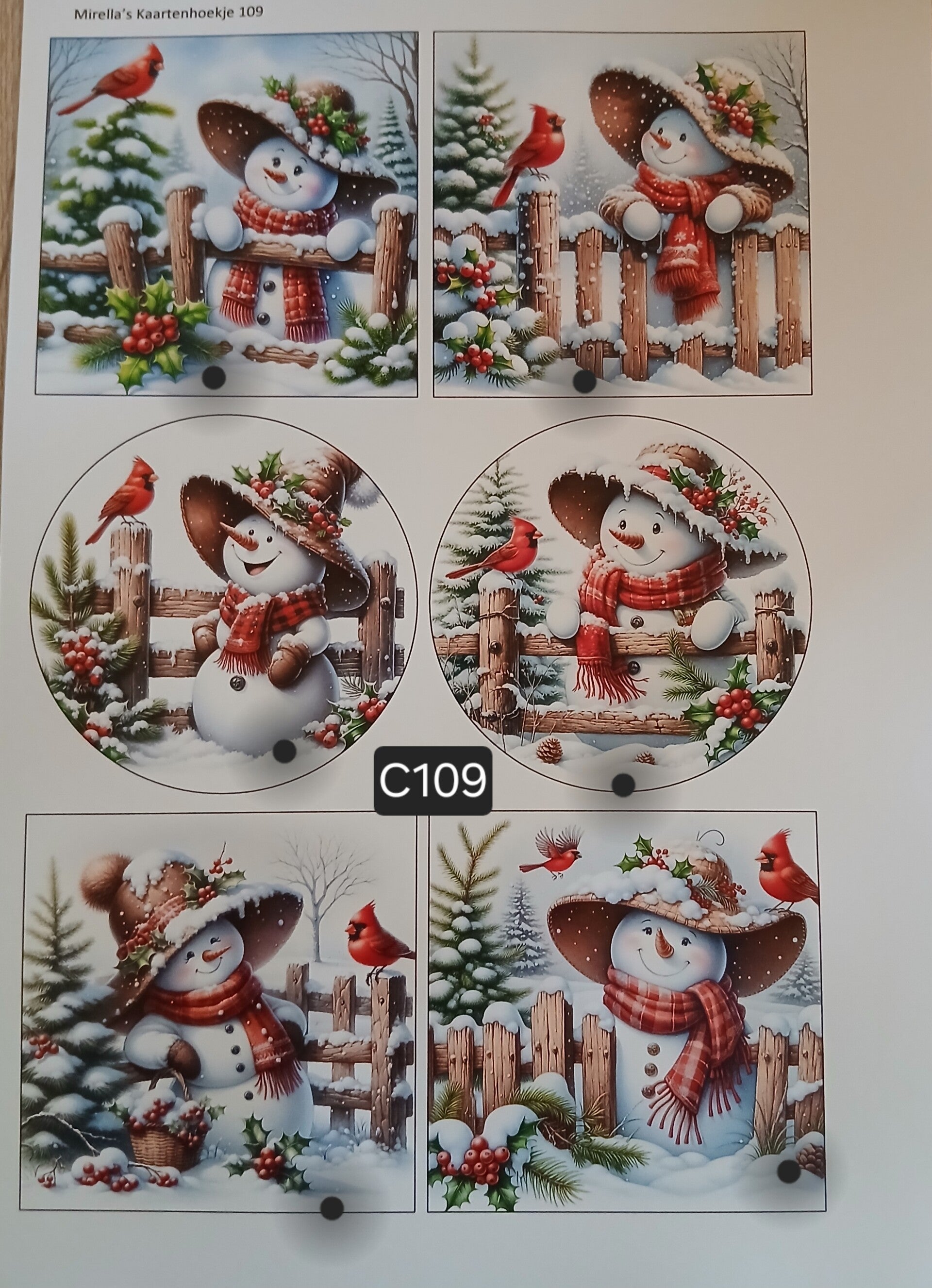 Collagevel C109
