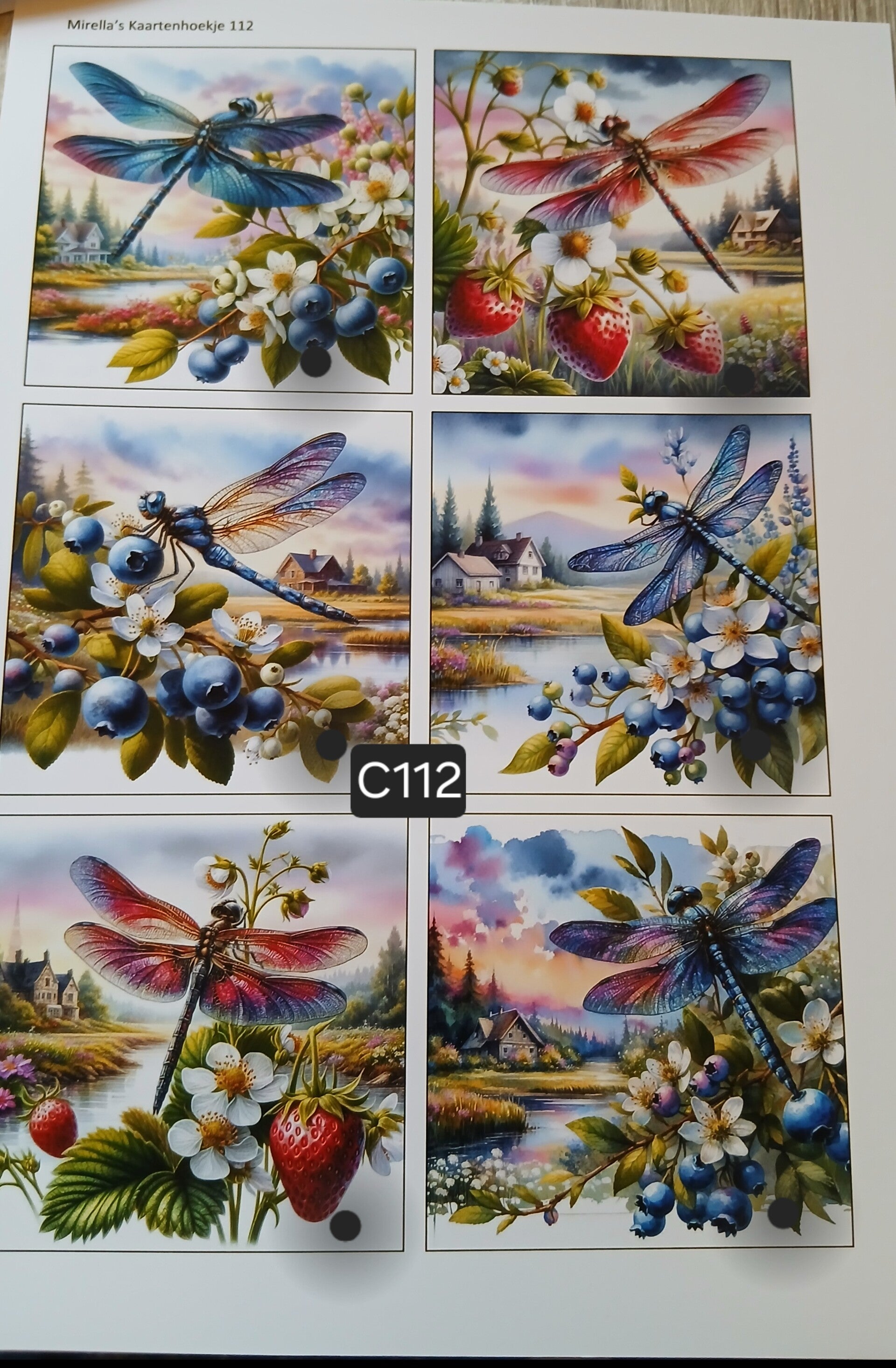 Collagevel C112