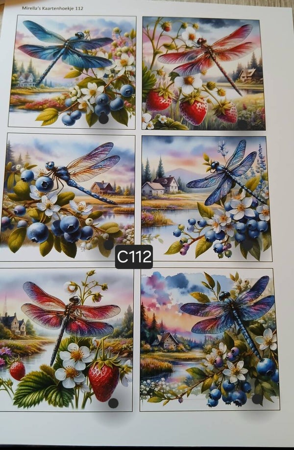 Collagevel C112