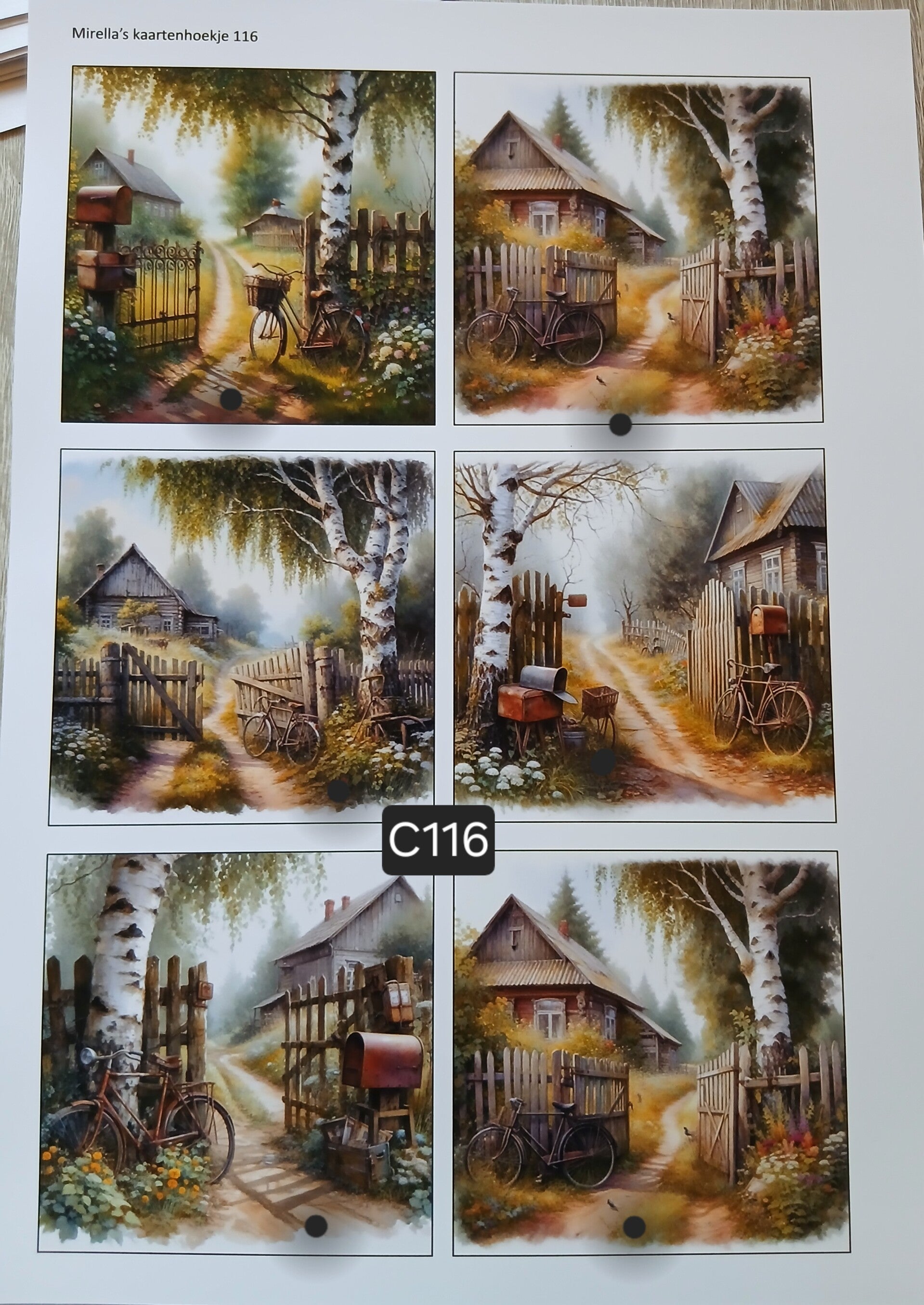 Collagevel C116