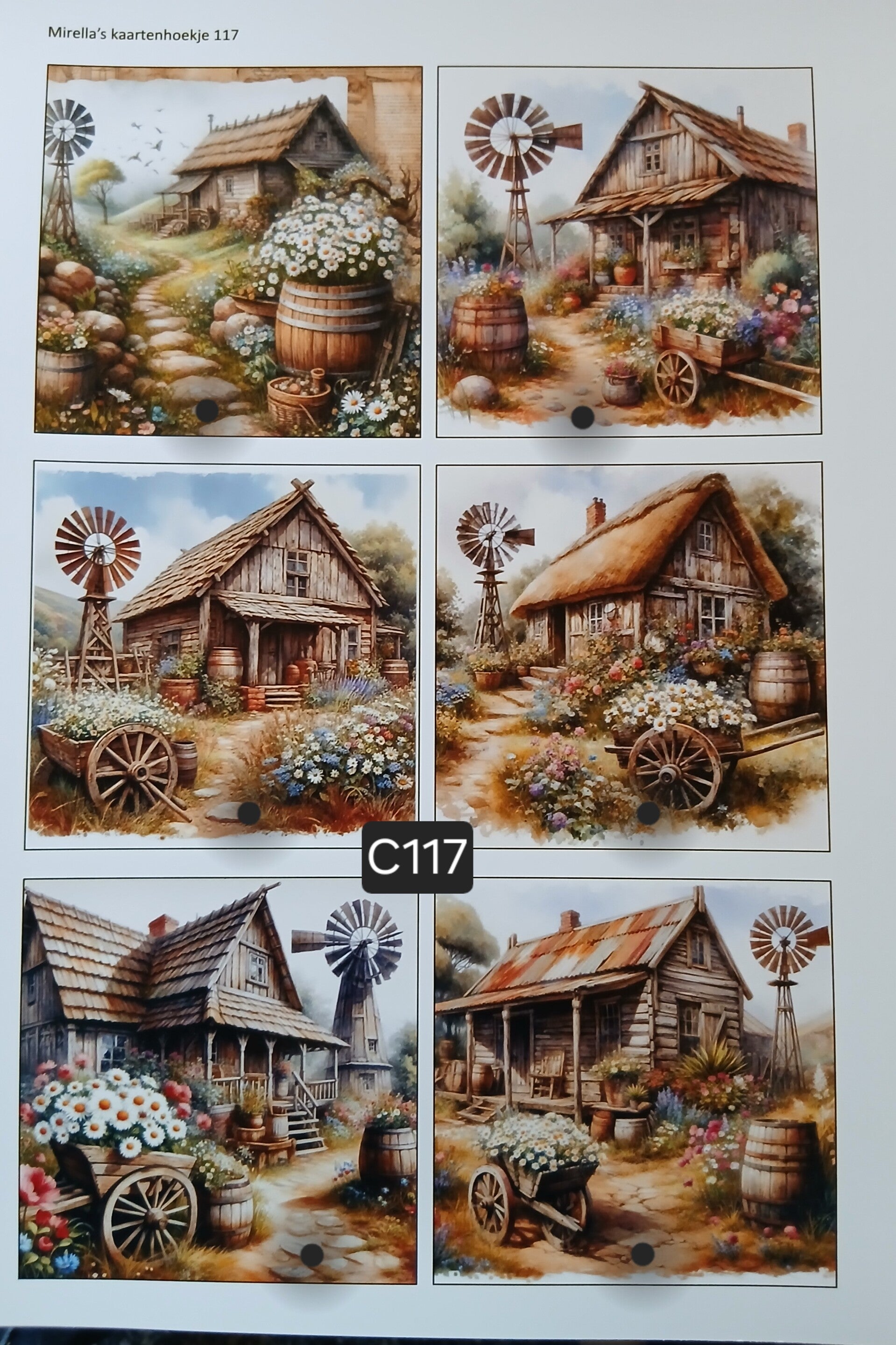 Collagevel C117