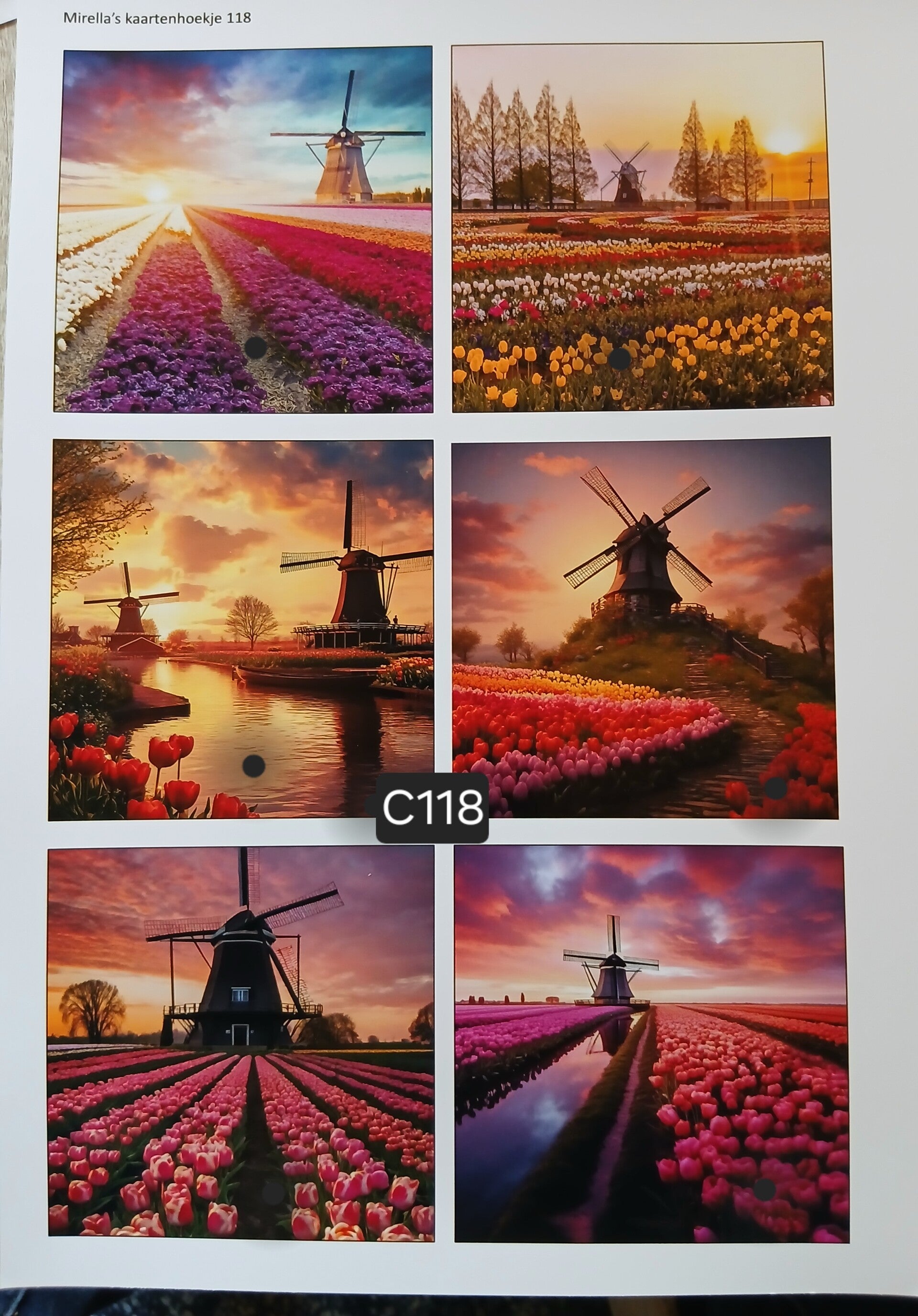 Collagevel C118