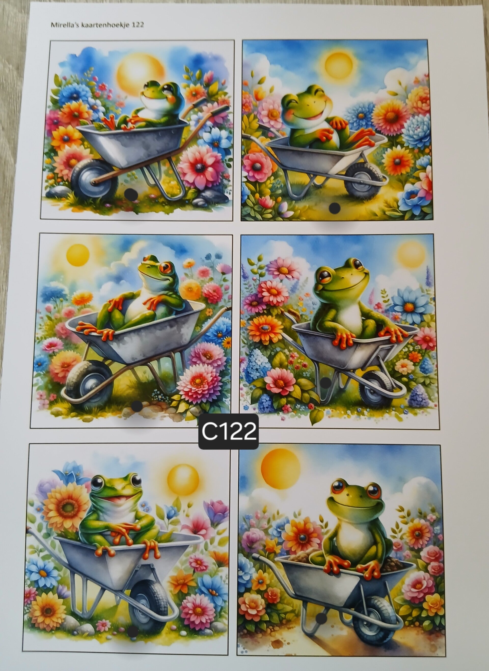 Collagevel C122