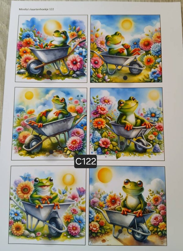 Collagevel C122