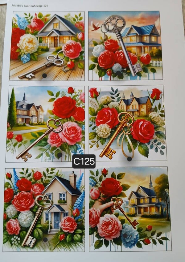 Collagevel C125