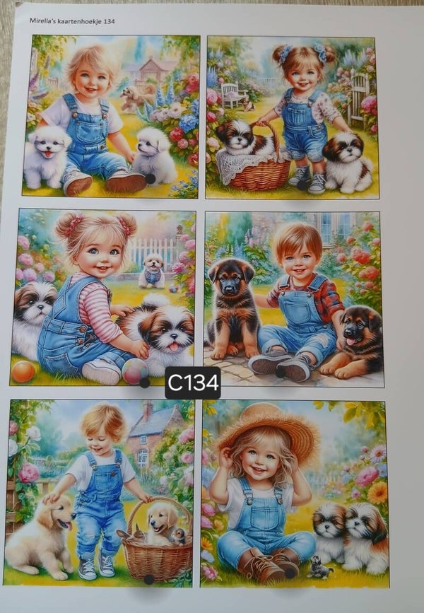 Collagevel C134