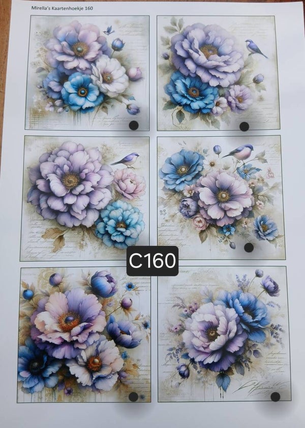 Collagevel C160